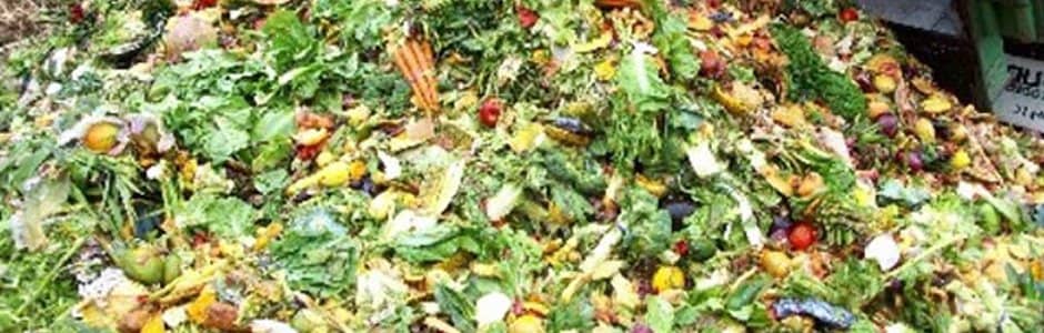 Обезвреживание пищевых отходов