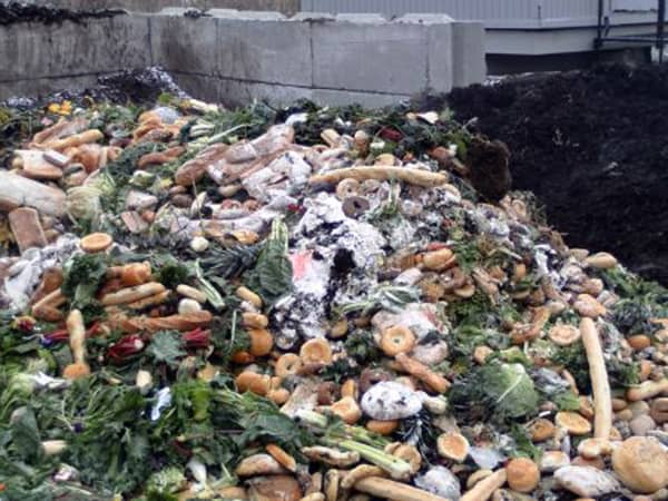 Утилизация отходов пищевых